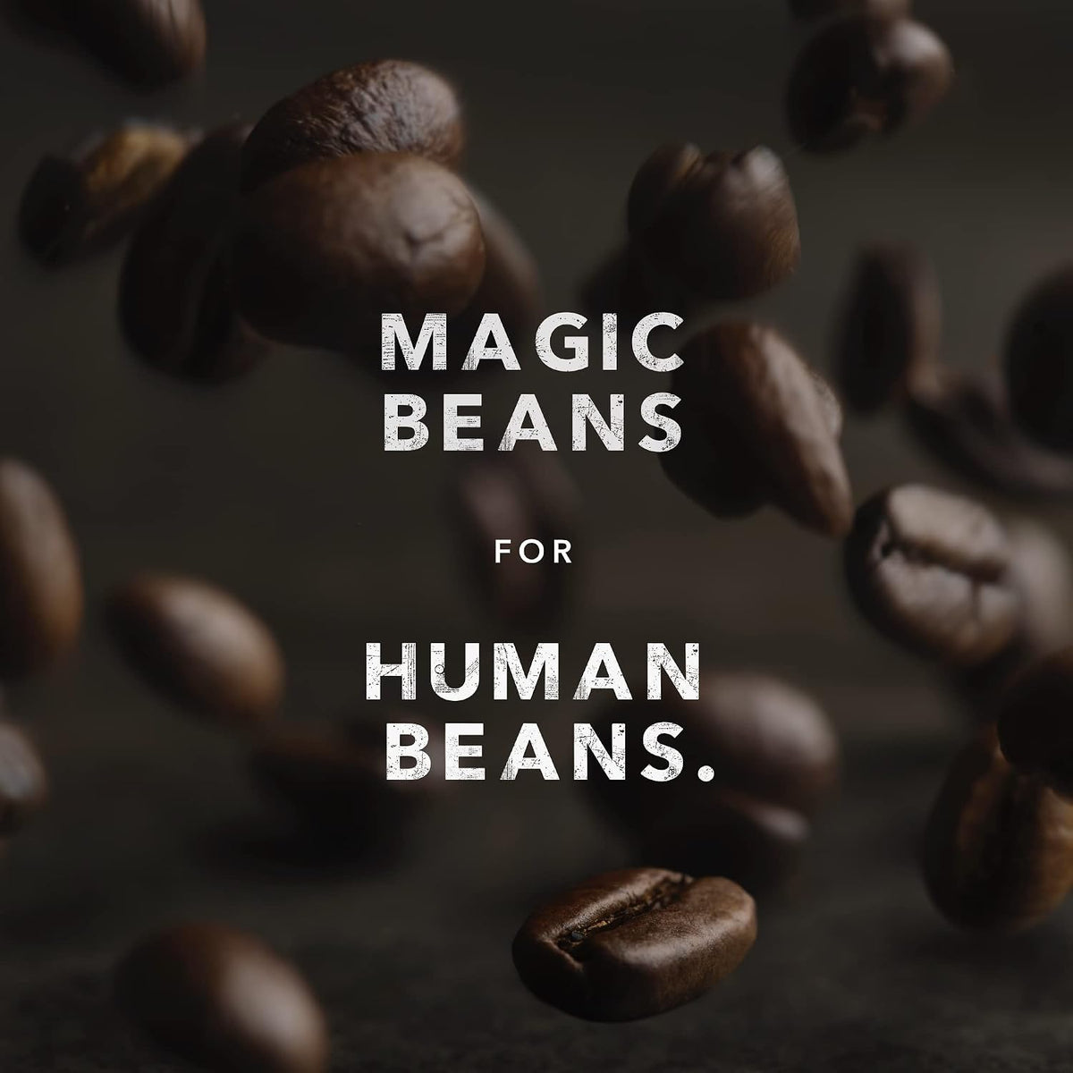 Visit the Kicking Horse Store — Kicking Horse Coffee, Decaf, Swiss Water Process, Dark Roast, Whole Bean, 10 Oz - Certified Organic, Fairtrade, Kosher Coffee - product image 43