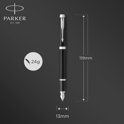 Parker IM stainless steel nib fountain pen