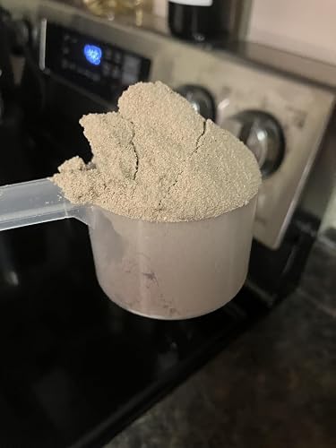 Optimum Nutrition protein powder for active routines
