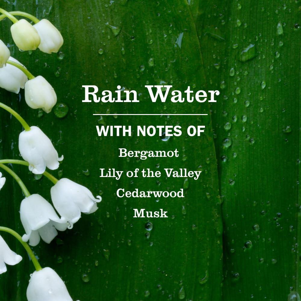 Moisturizing hand soap refill with aloe and olive oil