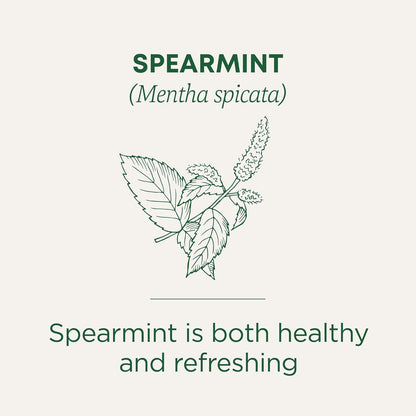 Traditional Medicinals 16 tea bags spearmint tea