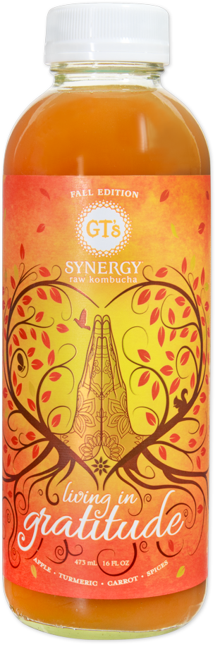 GT's Synergy Living in Gratitude raw kombucha bottle
