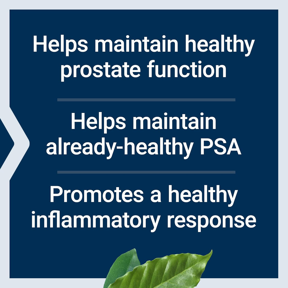 Non-GMO gluten-free prostate supplement softgels