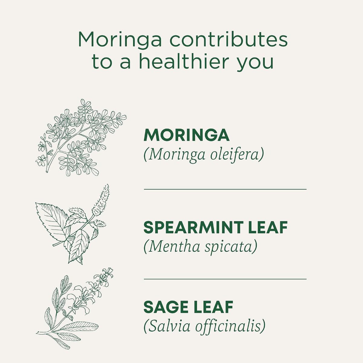 Visit the Traditional Medicinals Store — Traditional Medicinals Organic Spearmint, 16 Tea Bags - product image 21