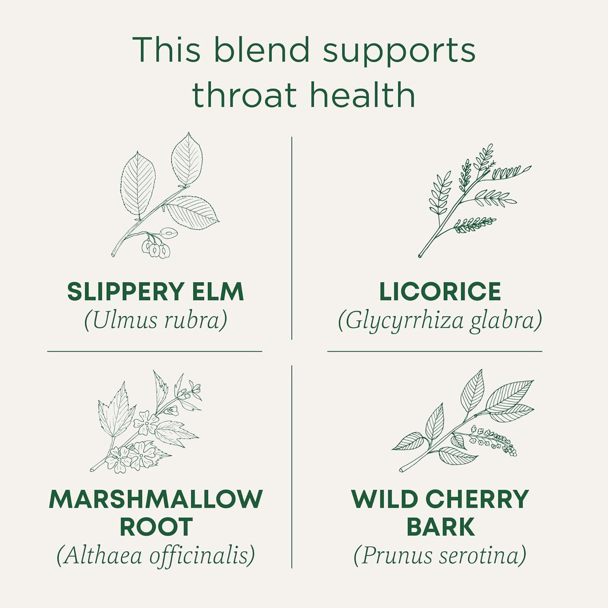 Organic herbal tea with licorice marshmallow root and echinacea