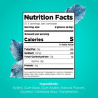 PUR gum wintergreen flavor packaging