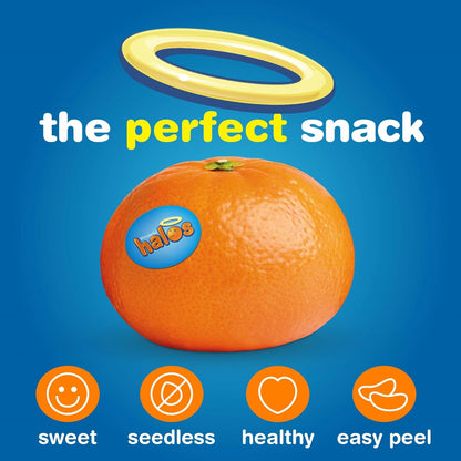Seedless citrus fruit snack mandarin oranges