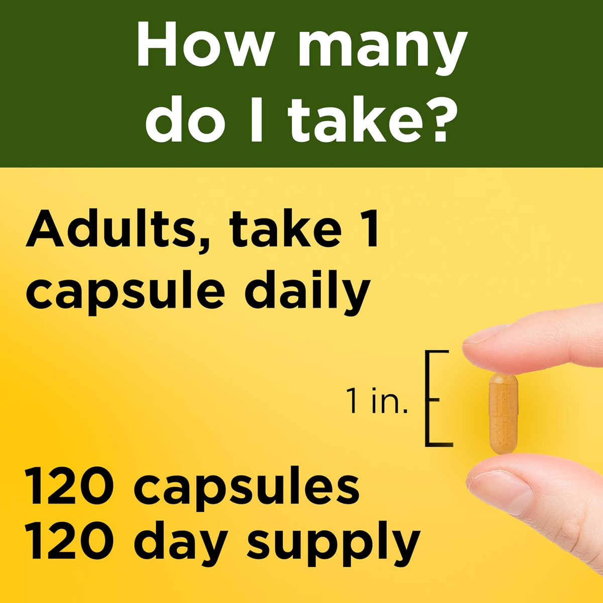 Nature Made standardized turmeric extract supplement
