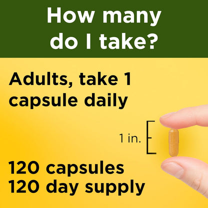 Nature Made standardized turmeric extract supplement