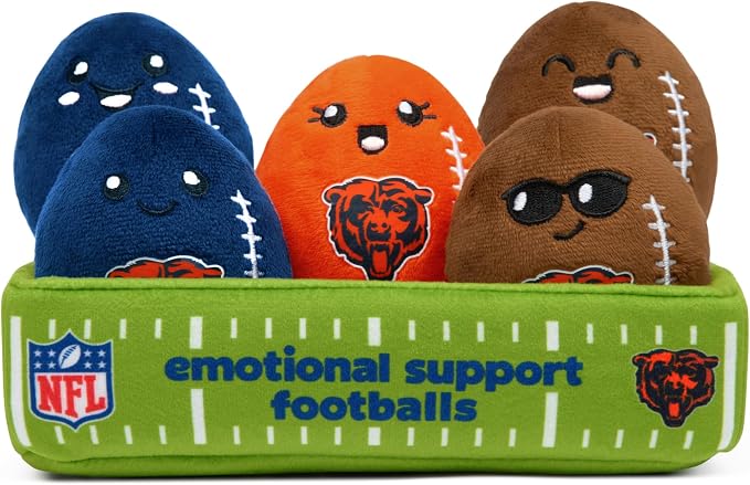 WHAT DO YOU MEME Detroit Lions plush gift set