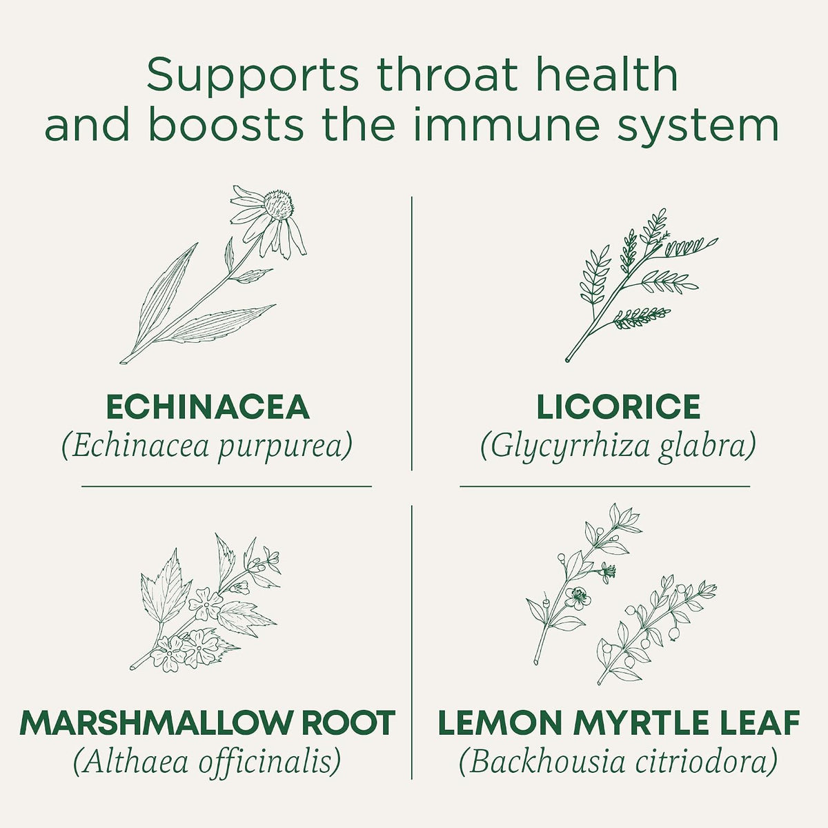 Kosher Non-GMO lemon echinacea throat coat tea box