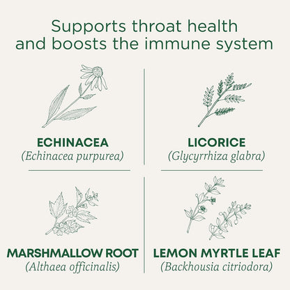 Kosher Non-GMO lemon echinacea throat coat tea box