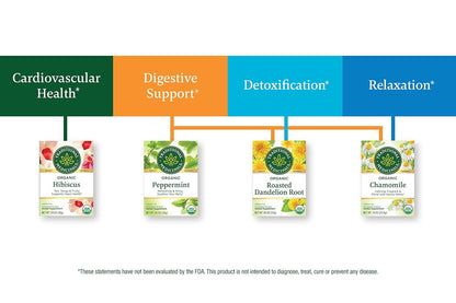 Visit the Traditional Medicinals Store — Traditional Medicinals Organic Spearmint, 16 Tea Bags - product image 94