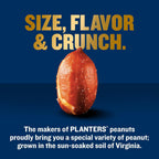 PLANTERS Special Reserve peanuts, single 13 oz package