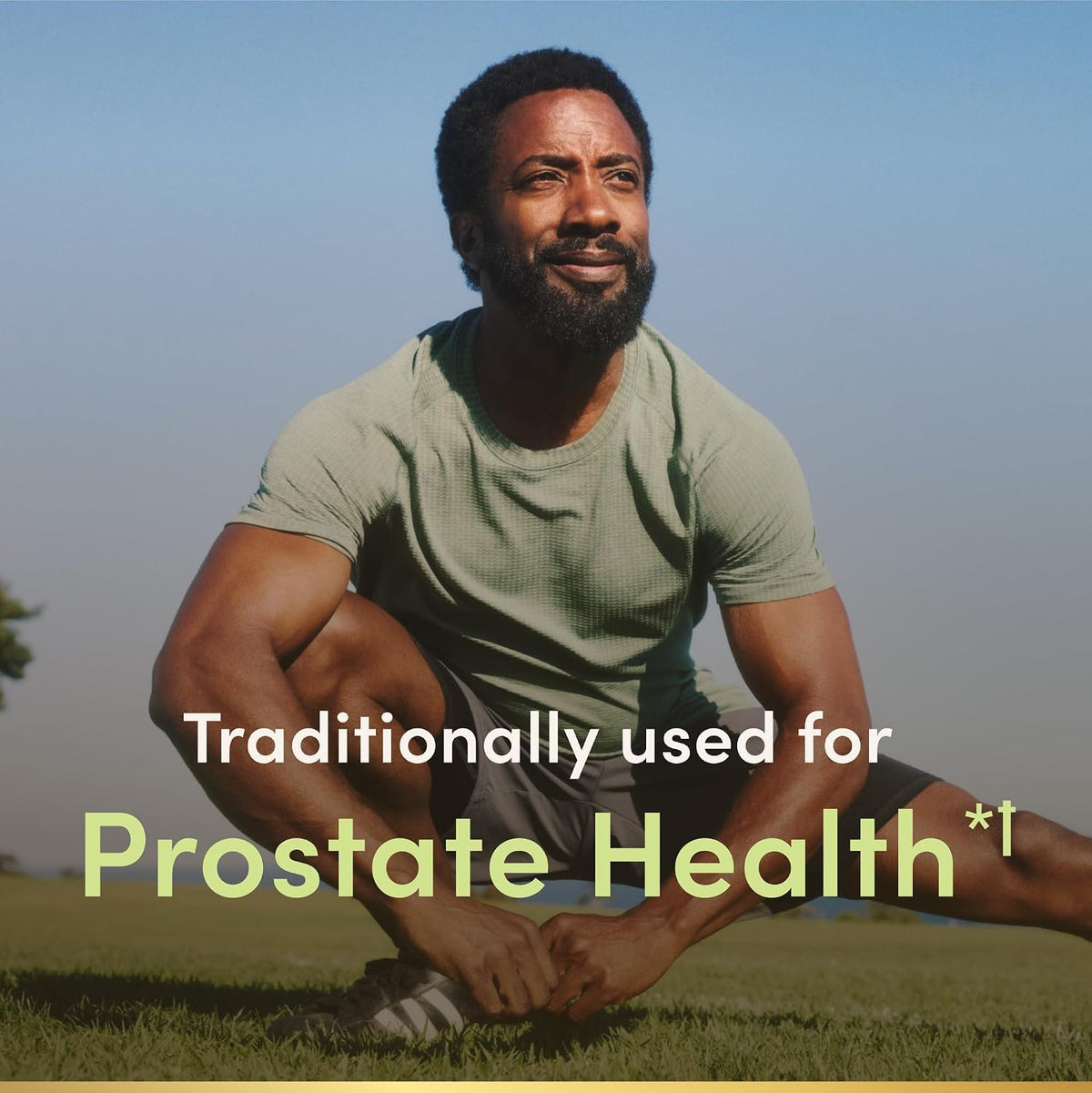 Saw palmetto herbal supplement for men
