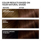 L'Oreal Paris Feria French Roast two-pack hair color