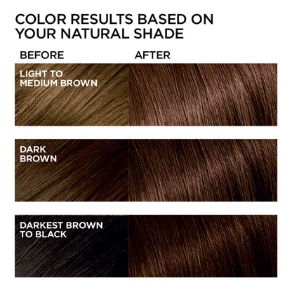 L'Oreal Paris Feria French Roast two-pack hair color