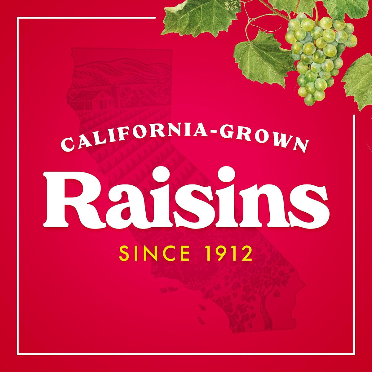 Sun-Maid raisins 13 oz dried fruit package