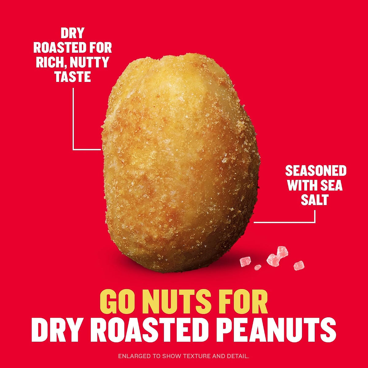 PLANTERS salted peanuts resealable 16 oz container
