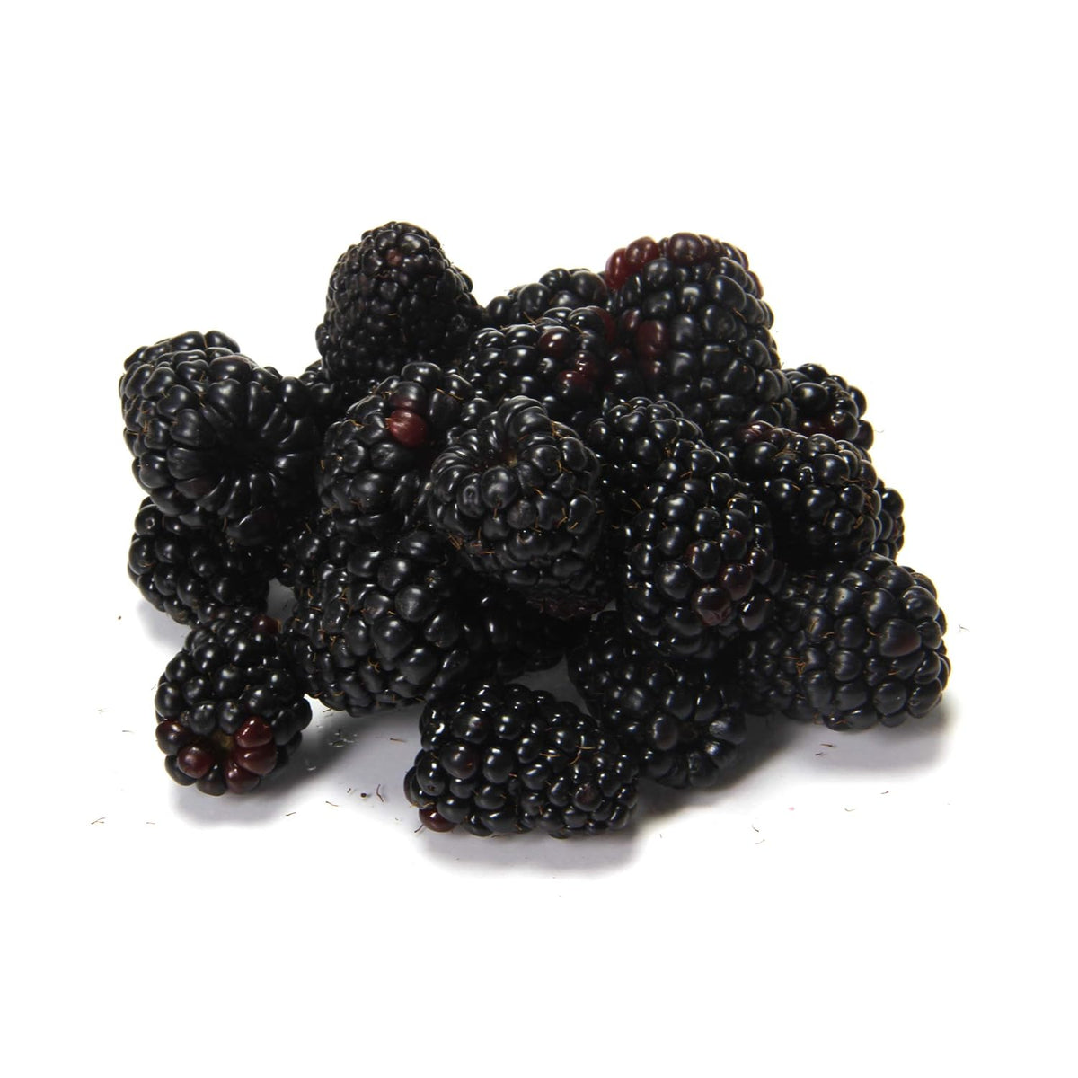 Fresh produce blackberries pack