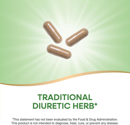 Dandelion root capsules vegan supplement bottle