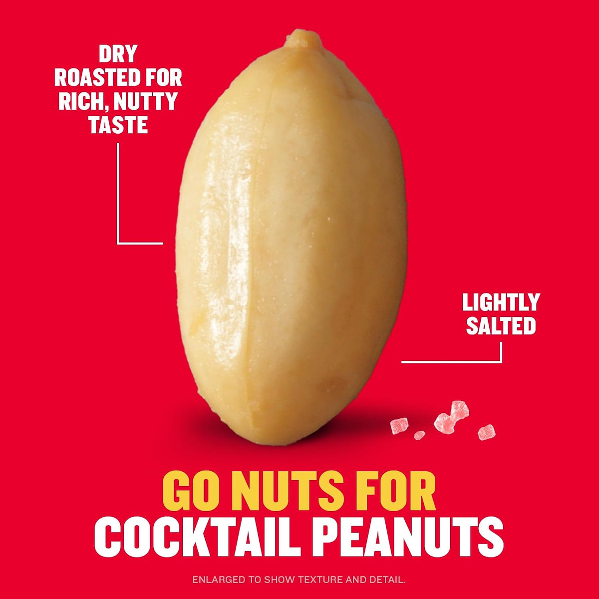 PLANTERS peanuts pantry snack with sea salt