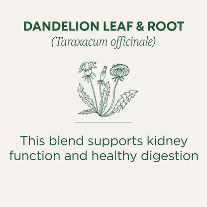 Kosher non-GMO dandelion leaf and root tea bags