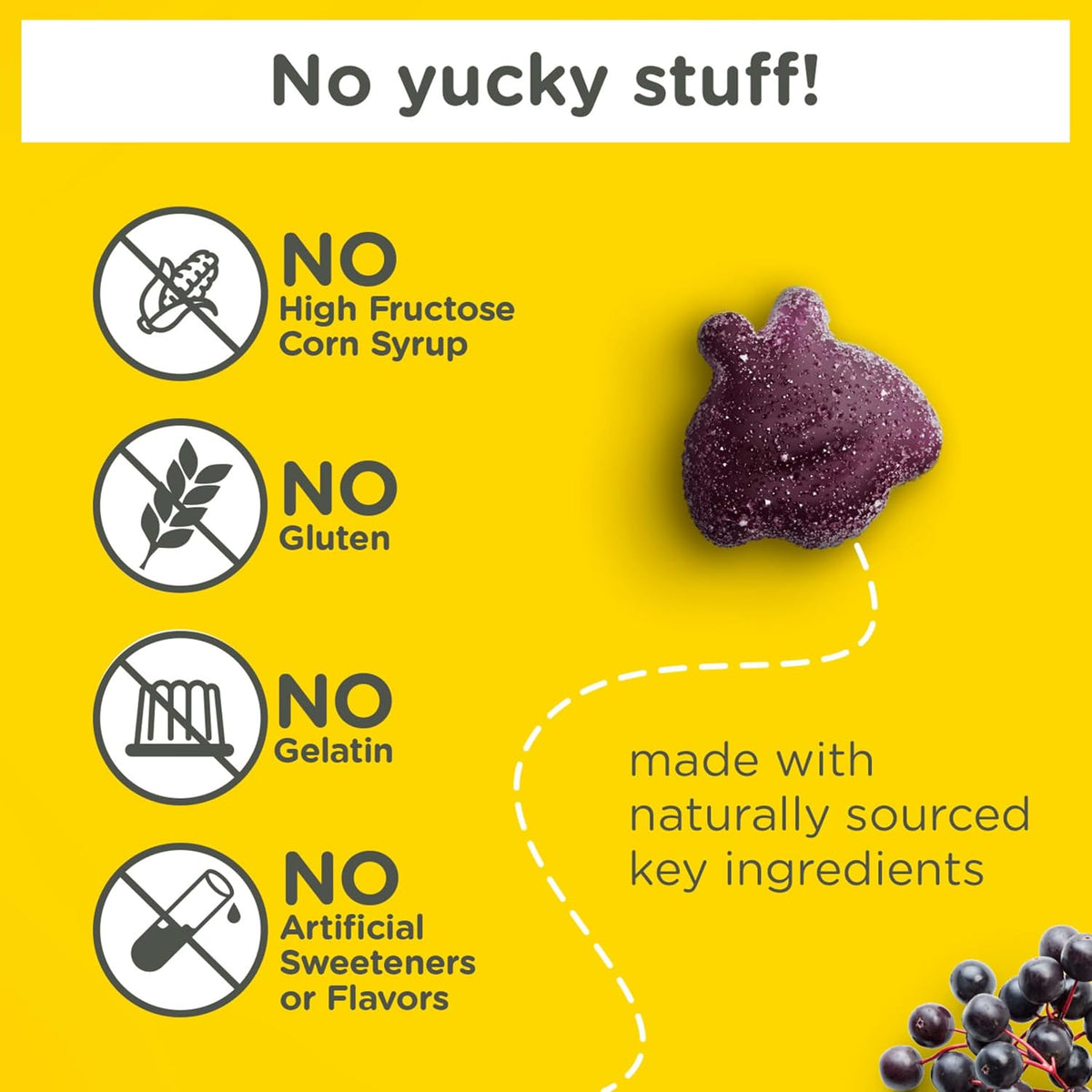 Zarbee's kids vitamin gummies with zinc
