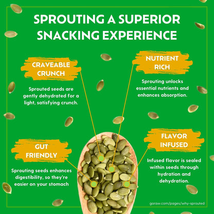 Go Raw sprouted sunflower seed snack