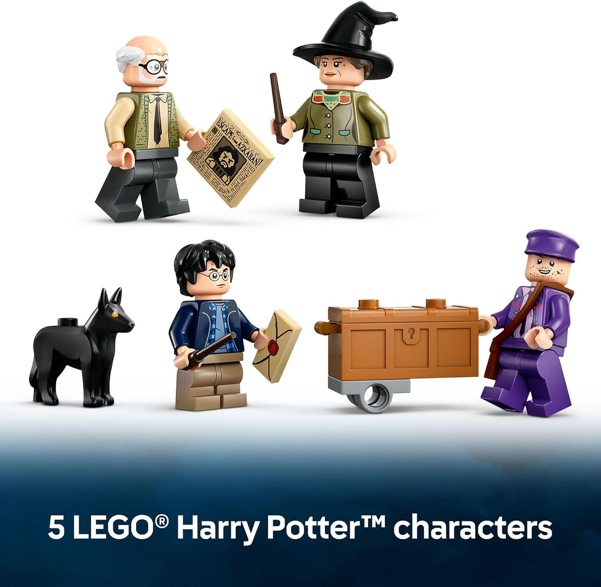 LEGO Harry Potter 76446 collectible gift set