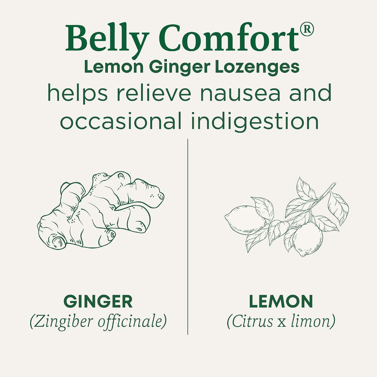 Lemon ginger digestive support lozenges 30 count