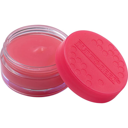 Burt's Bees Sweet Mint and Lemon Sorbet lip masks