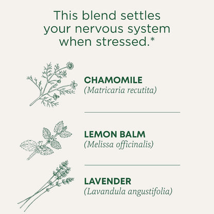 Traditional Medicinals organic herbal tea for calming ritual