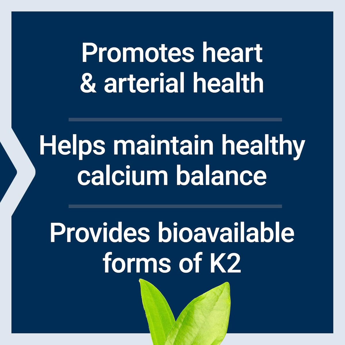 Life Extension Super K gluten free non GMO supplement