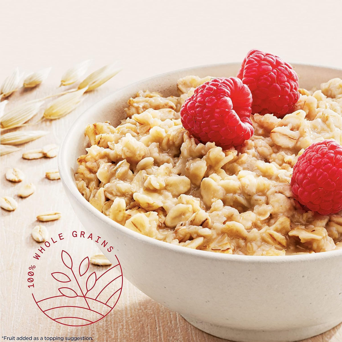 Quaker instant oatmeal breakfast packets 48 count