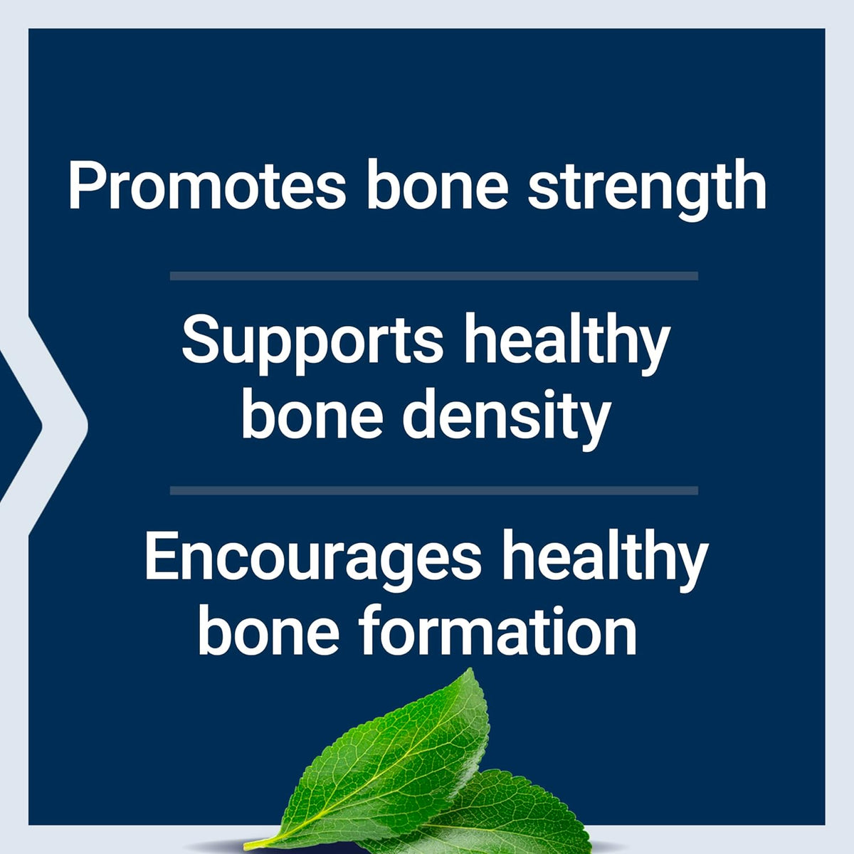 Life Extension bone health support capsules