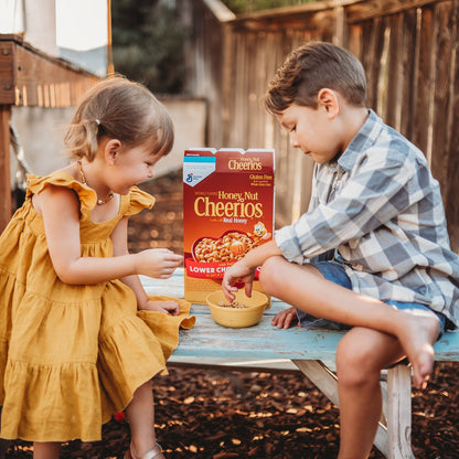 Honey Nut Cheerios breakfast cereal box packaging