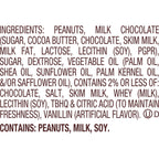 Reese's 9 oz Halloween milk chocolate peanut butter assortment