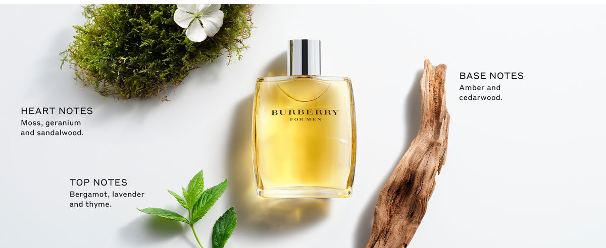 Burberry Classic everyday men's cologne