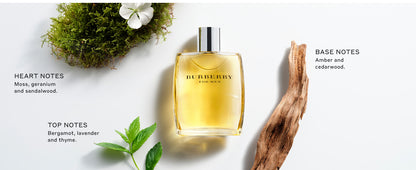 Burberry Classic everyday men's cologne