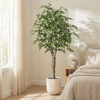 CGH faux 6.5 foot ficus tree with planter for indoor decor