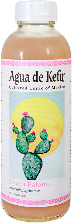 GT's Guava Paloma Agua de Kefir drink bottle