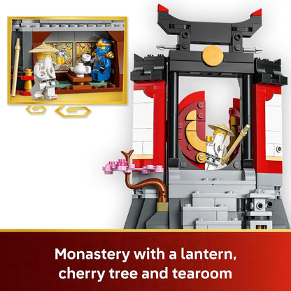 Collectible LEGO NINJAGO anniversary set