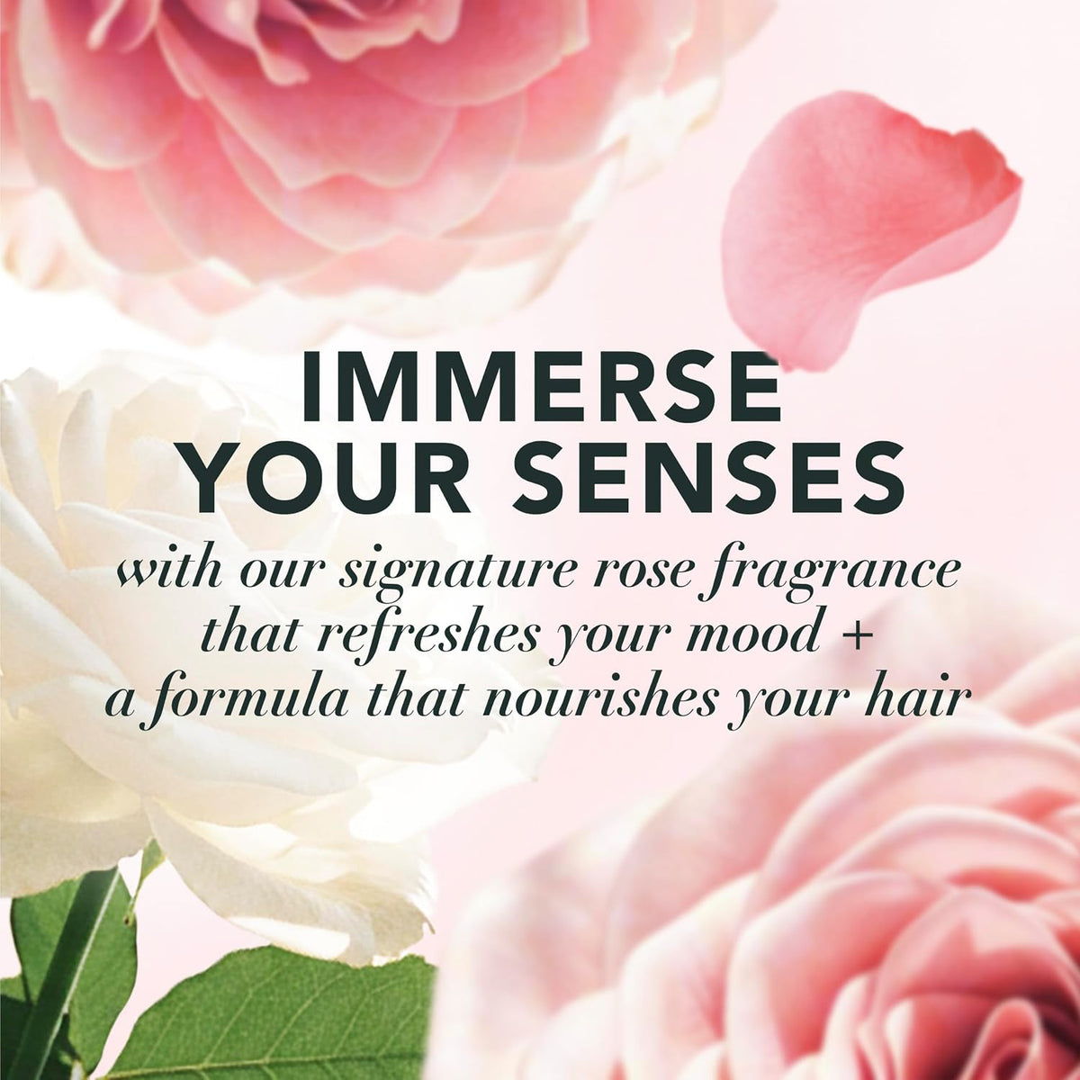 Paraben-free color-safe shampoo and conditioner set