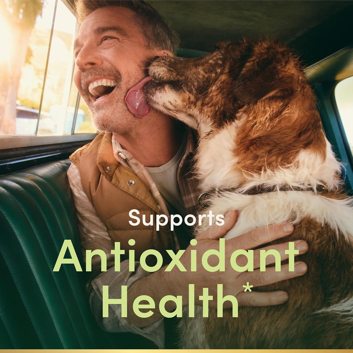 Vitamin E 1000 IU antioxidant support softgels
