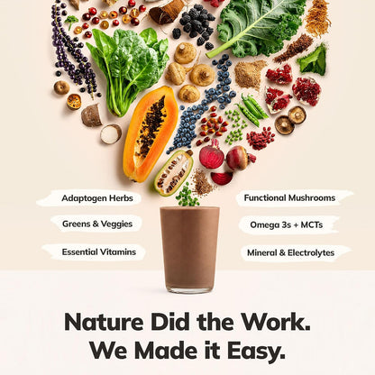 Ka’Chava vegan protein powder with superfoods