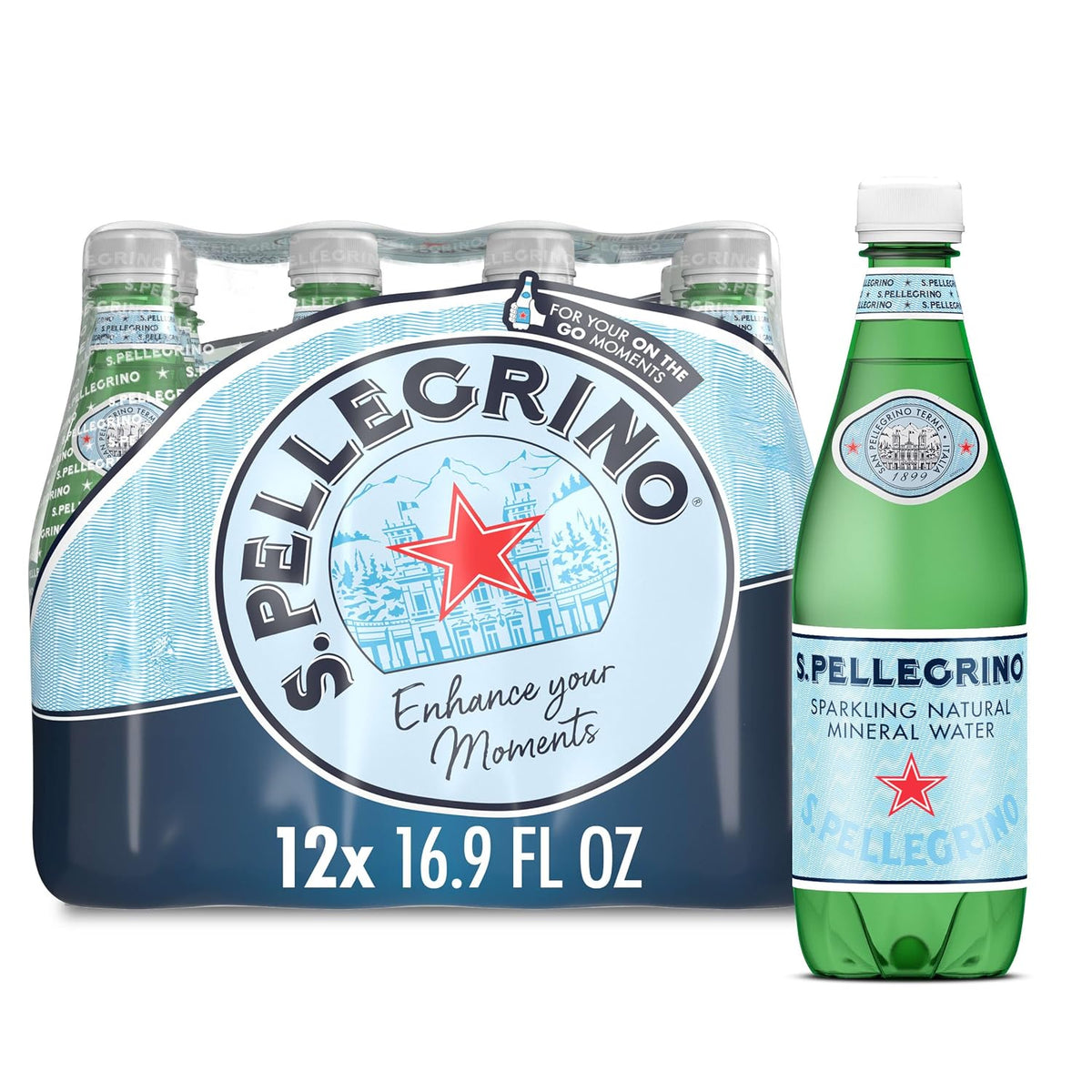 San Pellegrino 16.9 fl oz plastic bottled water