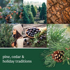 Yankee Candle wax melts with forest-inspired fragrance
