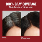 REVLON ColorSilk hair color for gray coverage