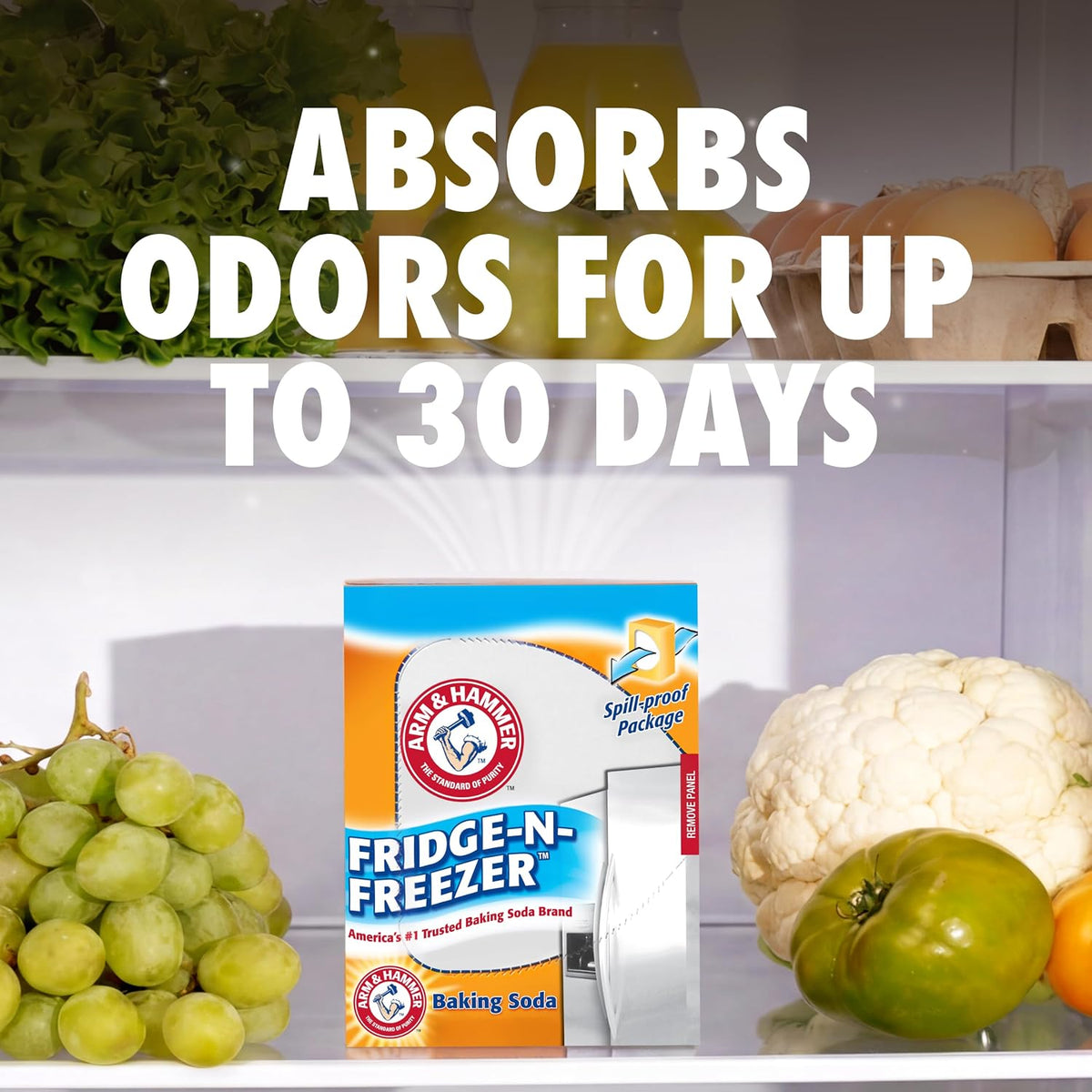 Spill-proof fridge and freezer odor absorber box
